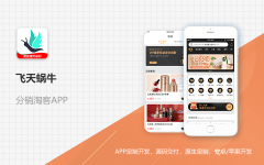 AndroidIOS开发丨原生APP开发软件开发外包团队公司